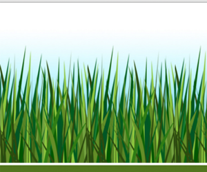 Get Free Artificial Grass Sample 