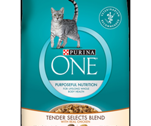 Free-purinaone-com