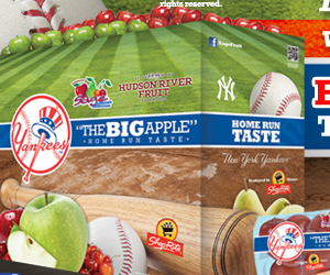 Win-2-tickets-for-a-New-York-Yankees-game!