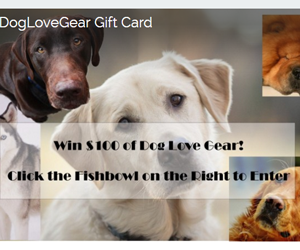 win-100-doglovegear-gift-card