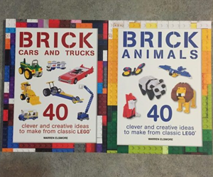 win-2-lego-brick-build-books