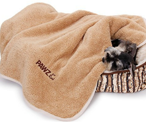 win-pawz-dog-blanket