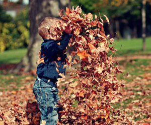 win-rake-roll-composting-giveaway