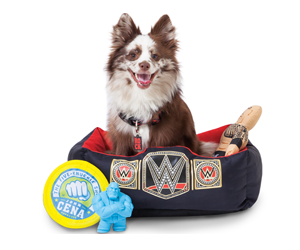 win-wwepet-collection-from-petmate-for-your-pet