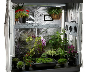 win-an-eco-garden-house