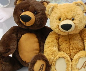 win-three-15-inch-huggable-squishy-super-soft-teddy-bears