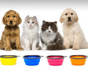 collapsible-pet-bowls-w-bonus