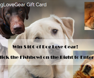 win-100-doglovegear-gift-card