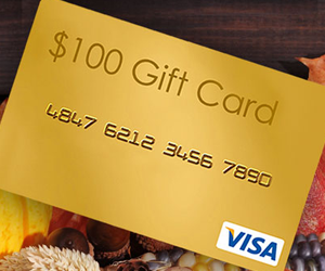 win-100-visa-giveaway-from-loretta-maimone