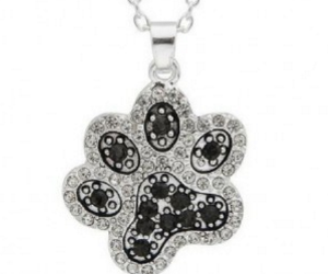 win-2-free-dog-necklaces