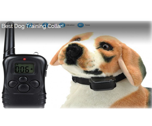 win-best-dog-training-collar