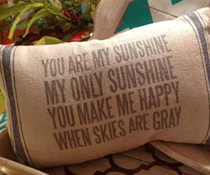 win-you-are-my-sunshine-15%e2%80%b3-x-10%e2%80%b3-pillows