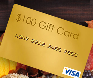 win-a-100-visa-giveaway-from-loretta-maimone