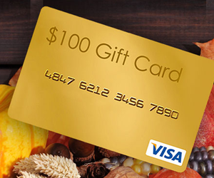 win-a-100-visa-giveaway-from-loretta-maimone