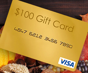 win-a-100-visa-giveaway-from-loretta-maimone