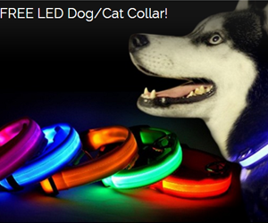 win-a-free-led-dog-cat-collar