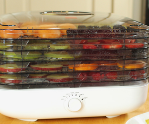 win-a-ronco-turbo-dehydrator