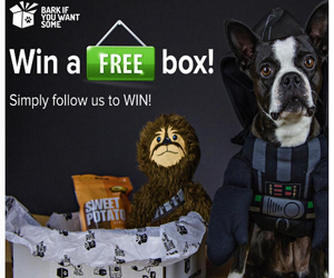 win-a-free-halloween-boxes