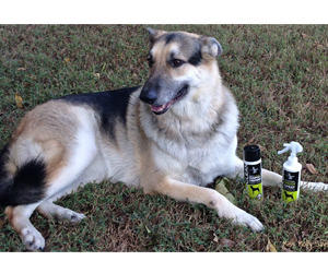 win-an-isle-of-dogs-natural-grooming-products-dog-treats-prize-pack