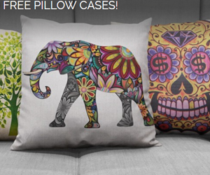 win-two-free-pillow-cases