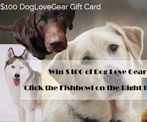 win-100-doglovegear-gift-card