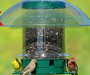 win-12-k-feeders-super-carousel-wild-bird-feeders