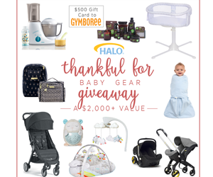 win-2000-in-baby-gear