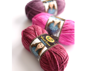 win-5-skeins-of-lion-brand-tonal-yarn