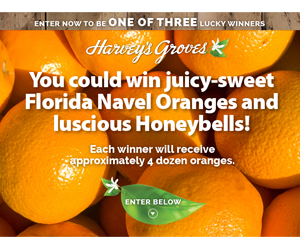 win-great-florida-oranges-giveaway