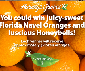 win-great-florida-oranges-giveaway