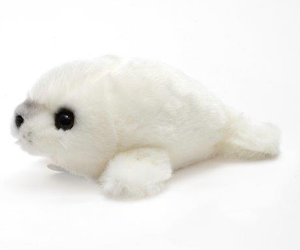 win-harp-seal-from-pbskids-and-wholefoods