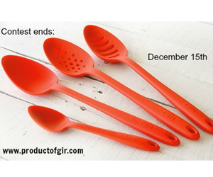 win-one-product-of-gir-4-piece-spoon-set