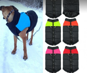 win-premium-winter-dog-vest