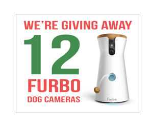 win-the-ultimate-pet-camera-giveaway