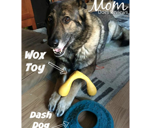 win-west-paw-designs-prize-pack