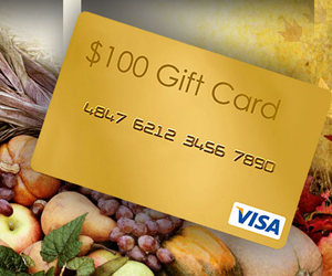 win-a-100-visa-giveaway-from-loretta-maimone