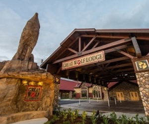 win-a-2-night-stay-at-the-great-wolf-lodge