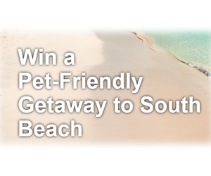 win-a-pet-friendly-getaway-to-south-beach