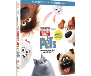 win-a-the-secret-life-of-pets-blu-ray-combo-packs