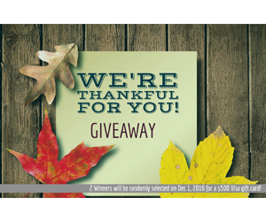 win-one-of-two-500-visa-gift-card-prizes