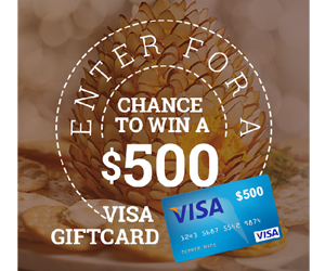 win-up-to-a-500-visa-giftcard