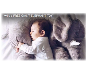 win-a-free-giant-elephant-toy