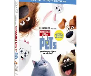 win-the-secret-life-of-pets-on-blu-ray-combo-pack