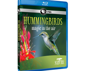 win-blu-rays-love-in-the-animal-kingdom-and-nature-hummingbirds