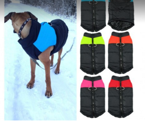 win-premium-winter-dog-vest