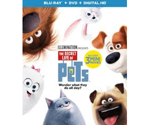 win-the-secret-life-of-pets-on-blu-ray