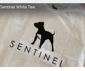 win-a-free-sentinel-white-tee