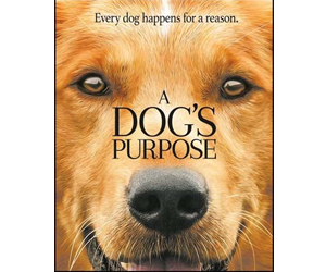 Win-A-Dog’s-Purpose-Movie-Tickets-Sweepstakes