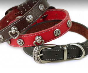 Win-Leather-Dog-Collars-&-Leashes