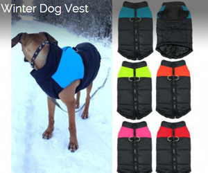 Win-Premium-Winter-Dog-Vest